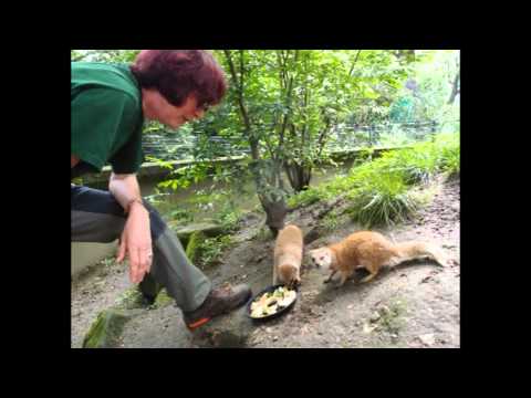 rencontre avec les soigneurs jardin des plantes