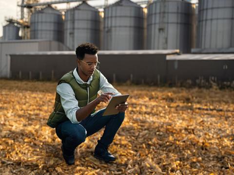 Un agriculteur dans son champ