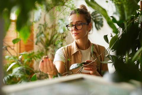 Jardinier / Jardinière paysagiste d'intérieur