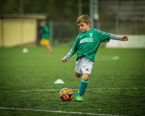 Conseiller territorial des activités physiques et sportives - CTAPS