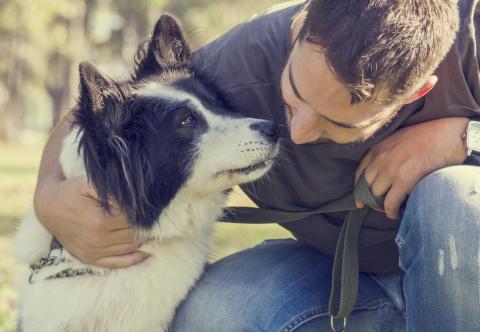 Eleveur / Eleveuse canin ou félin