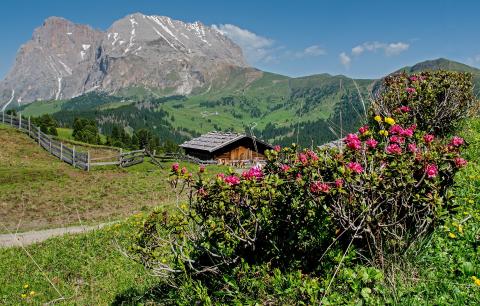 Gardien / Gardienne de refuge de montagne