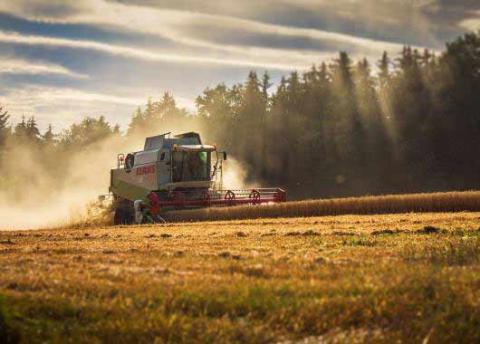 BTSA ACSE - Analyse, conduite et stratégie de l’entreprise agricole