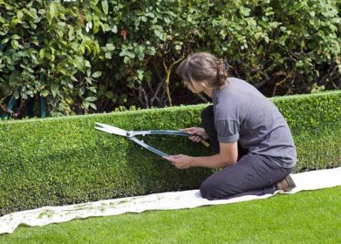 Jardinier paysagiste : un métier d'extérieur recherché