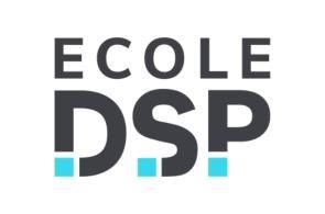 logo école DSP CIDJ.jpg